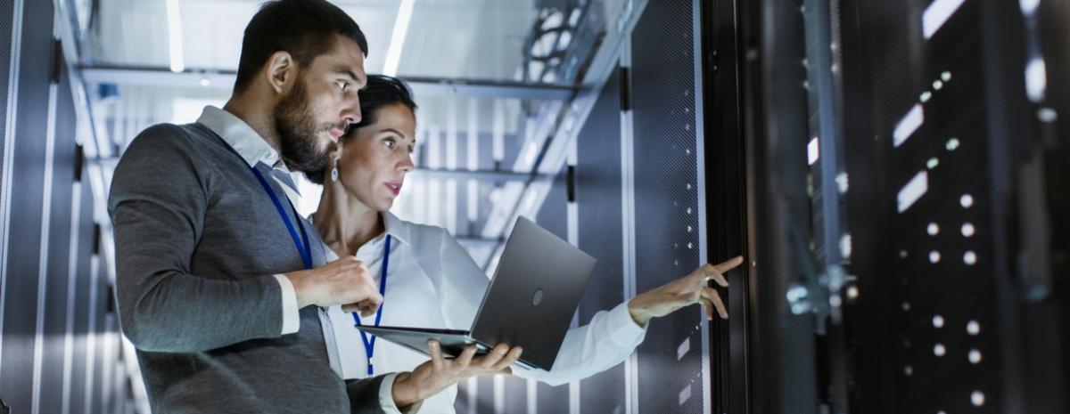 IT employees reviewing the network server